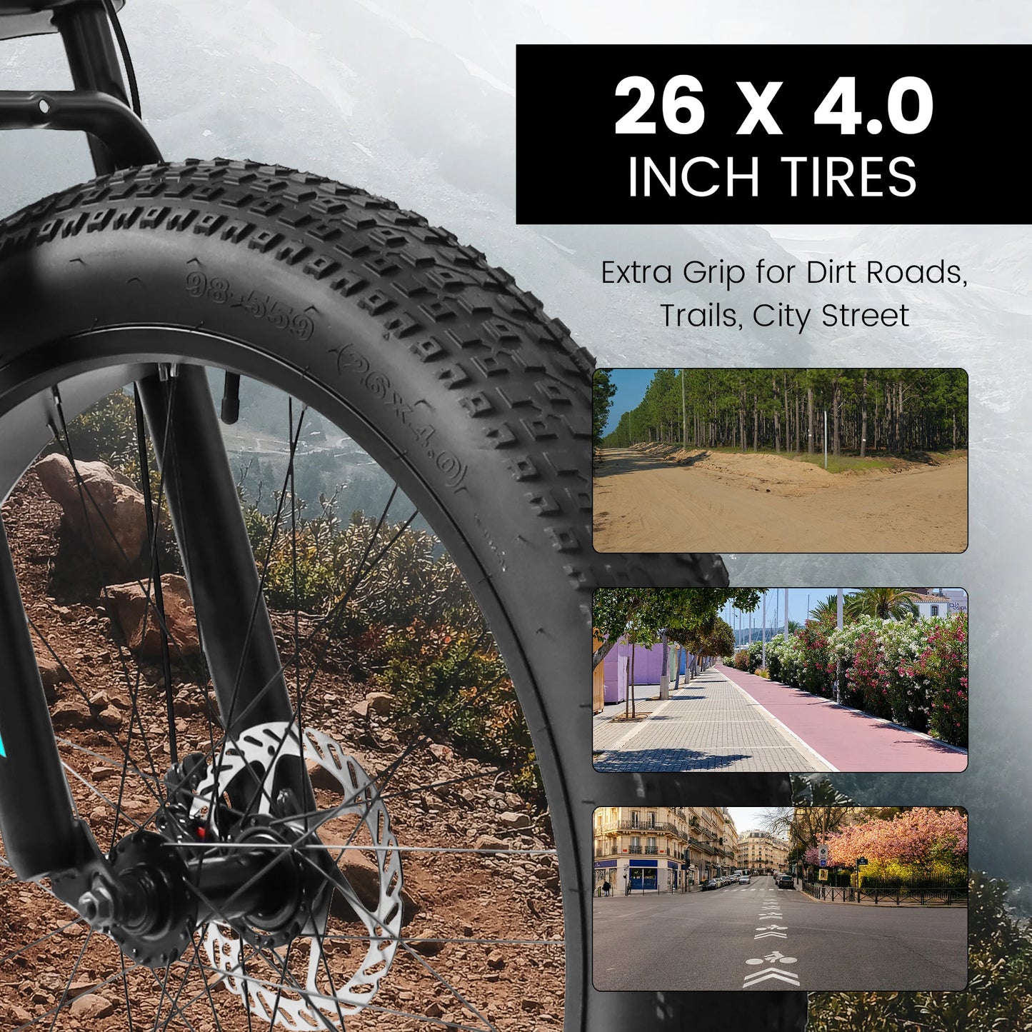 Fat Tire Full Suspension Mountain Bike With Brakes 21 Speed